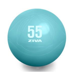 Fitball Ziva Turquesa Chic 