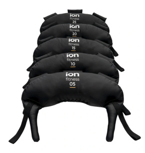 Bulgarian Bag ION fitness 