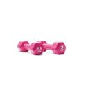 Halteres hexagonais em vinil Ruster Studio (par) (Peso: 2.5kg)