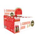 GoldNutrition L-Carnitine 3000mg - 20 x 10ml GoldNutrition L-Carnitine 3000mg - 20 x 10ml