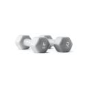 Halteres hexagonais em vinil Ruster Studio (par) (Peso: 4kg)