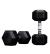 Halteres Hexagonais ION fitness (par) (Peso: 12.5kg)