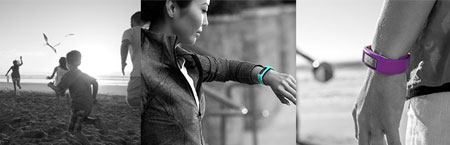 vivofit