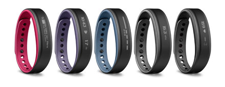 Garmin vivosmart