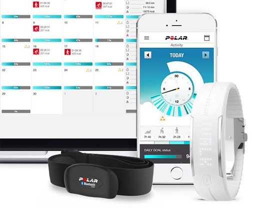 Polar Loop 2