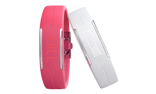 Polar Loop 2